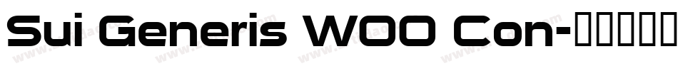 Sui Generis W00 Con字体转换